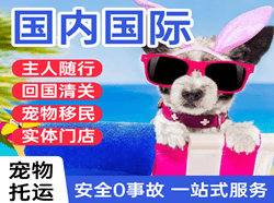 无锡硕放航空空运国际宠物托运 【国